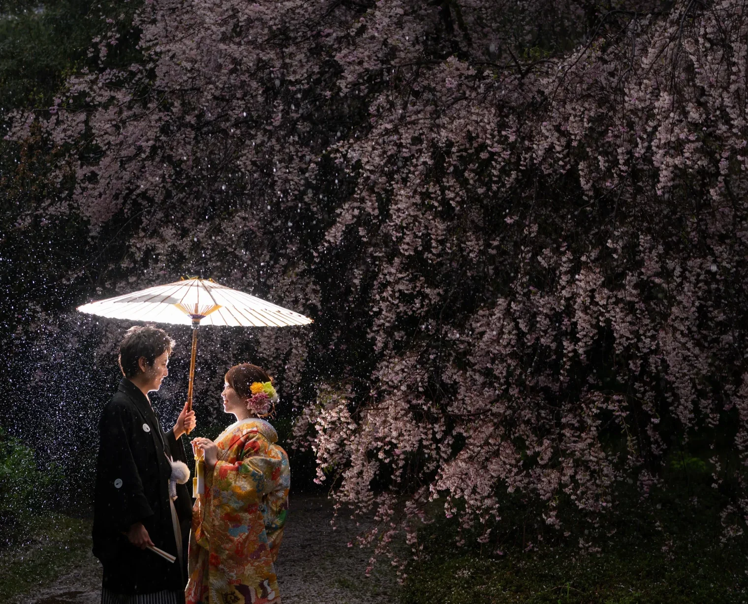 桜フォトウェディング