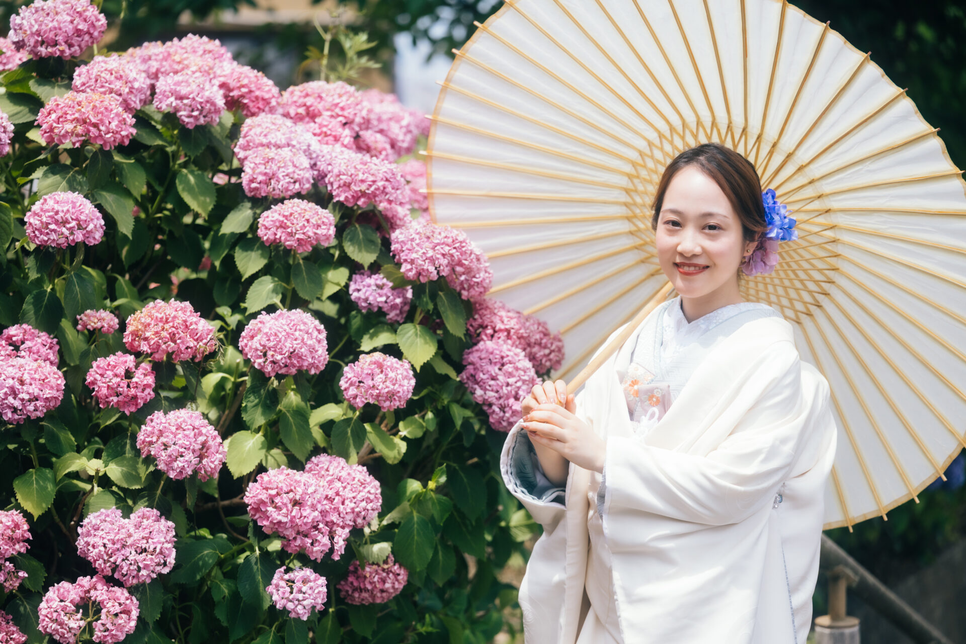 雨露に、恋をする。あじさいが彩る「フォトウェデイング」の静かな贅沢